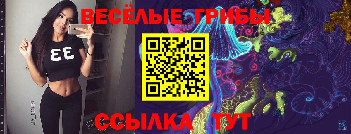 Галлюциногенные грибы ЛСД Фролово
